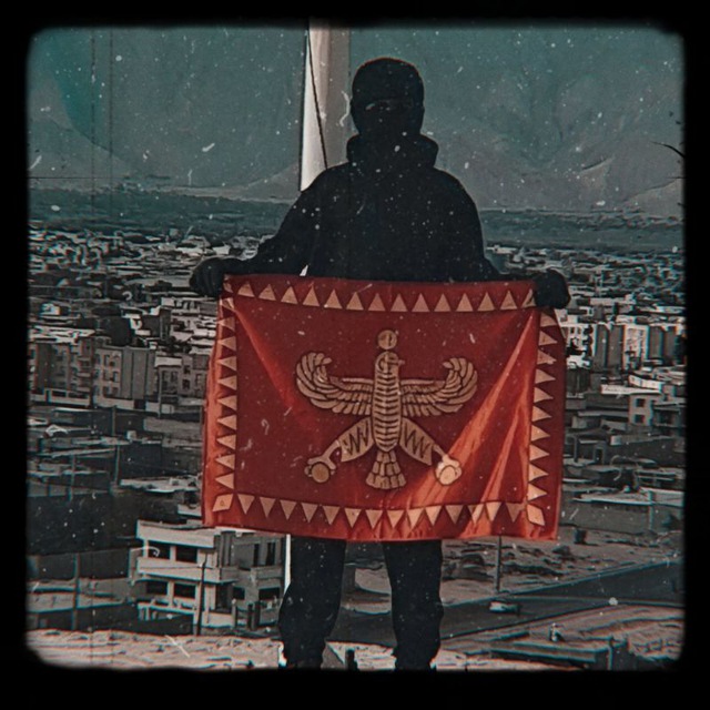 img_20250326_100620_045_e2np.jpg - 116.69 kB